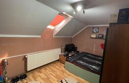 Casa individuala, 390 mp utili, pretabila pentru investitie, Central