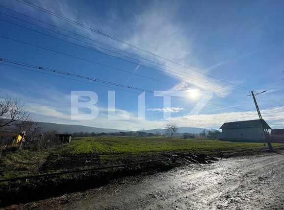 Teren de vânzare Sud - 104442TV | BLITZ Alba Iulia | Poza3