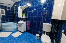 Exclusiv! Casă individuală, 192 mp utili, 400 mp teren, Sebes