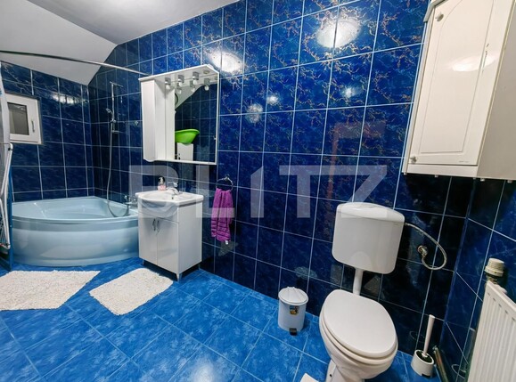 Casa de vânzare 7 camere Sebeș - 104546CV | BLITZ Alba Iulia | Poza16