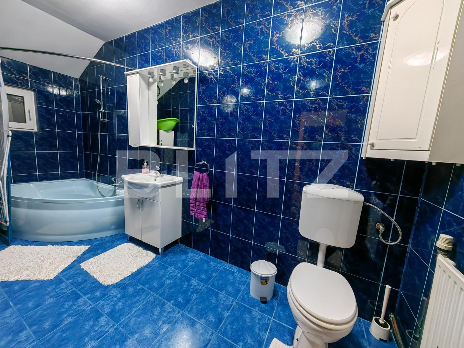 Casa de vânzare 7 camere Sebeș - 104546CV | BLITZ Alba Iulia | Poza16