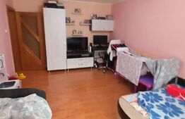 Apartament 2 camere, decomandat, 50 mp utili, et2, Tolstoi