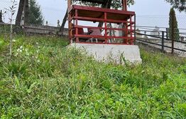 Casa in comuna Ighiu, renovata in 2021, 160mp utili pe teren de 650 mp 