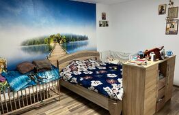 Casa in comuna Ighiu, renovata in 2021, 160mp utili pe teren de 650 mp 