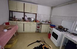 Casa de vacanta la munte, 354 mp utili, teren cu 2930 mp, zona Ighiel