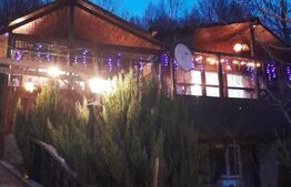 Cabana de vanzare, teren cu 400 mp, Lunca Ampoitei