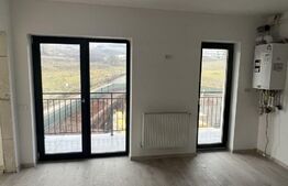 Apartament cu 3 camere, decomandat, etaj intermediar, Cetate