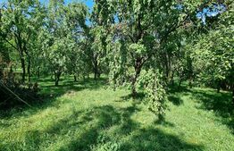 Teren intravilan 3194 mp in loc. Straja cu toate utilitatile