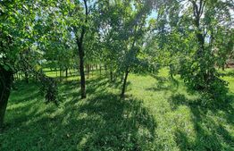 Teren intravilan 3194 mp in loc. Straja cu toate utilitatile