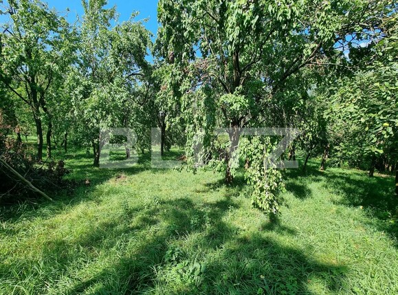 Teren de vânzare Sud - 105761TV | BLITZ Alba Iulia | Poza9