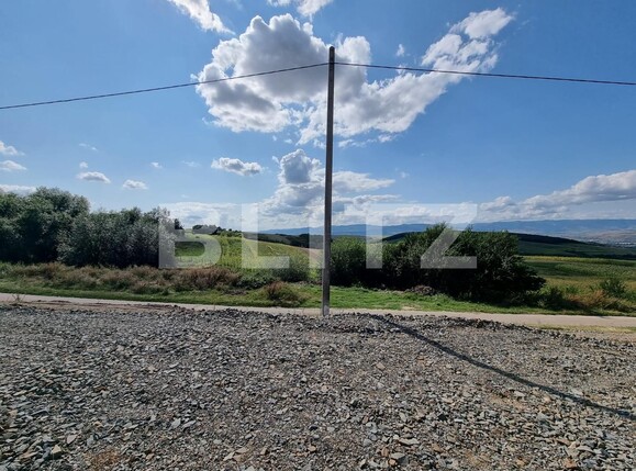 Teren de vânzare Sud - 105761TV | BLITZ Alba Iulia | Poza6