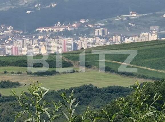 Teren de vânzare Sud - 105761TV | BLITZ Alba Iulia | Poza1