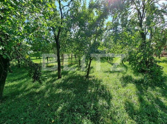 Teren de vânzare Sud - 105761TV | BLITZ Alba Iulia | Poza7