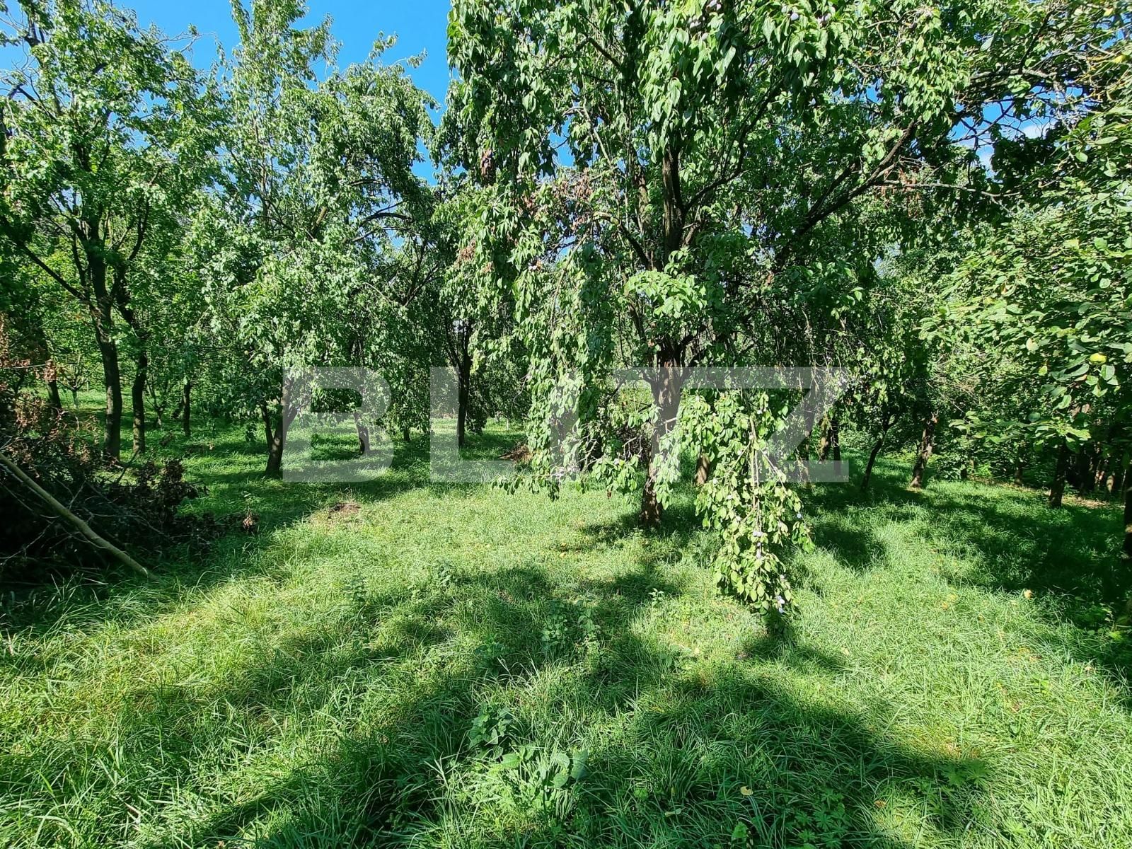 Teren de vânzare Sud - 105761TV | BLITZ Alba Iulia | Poza9