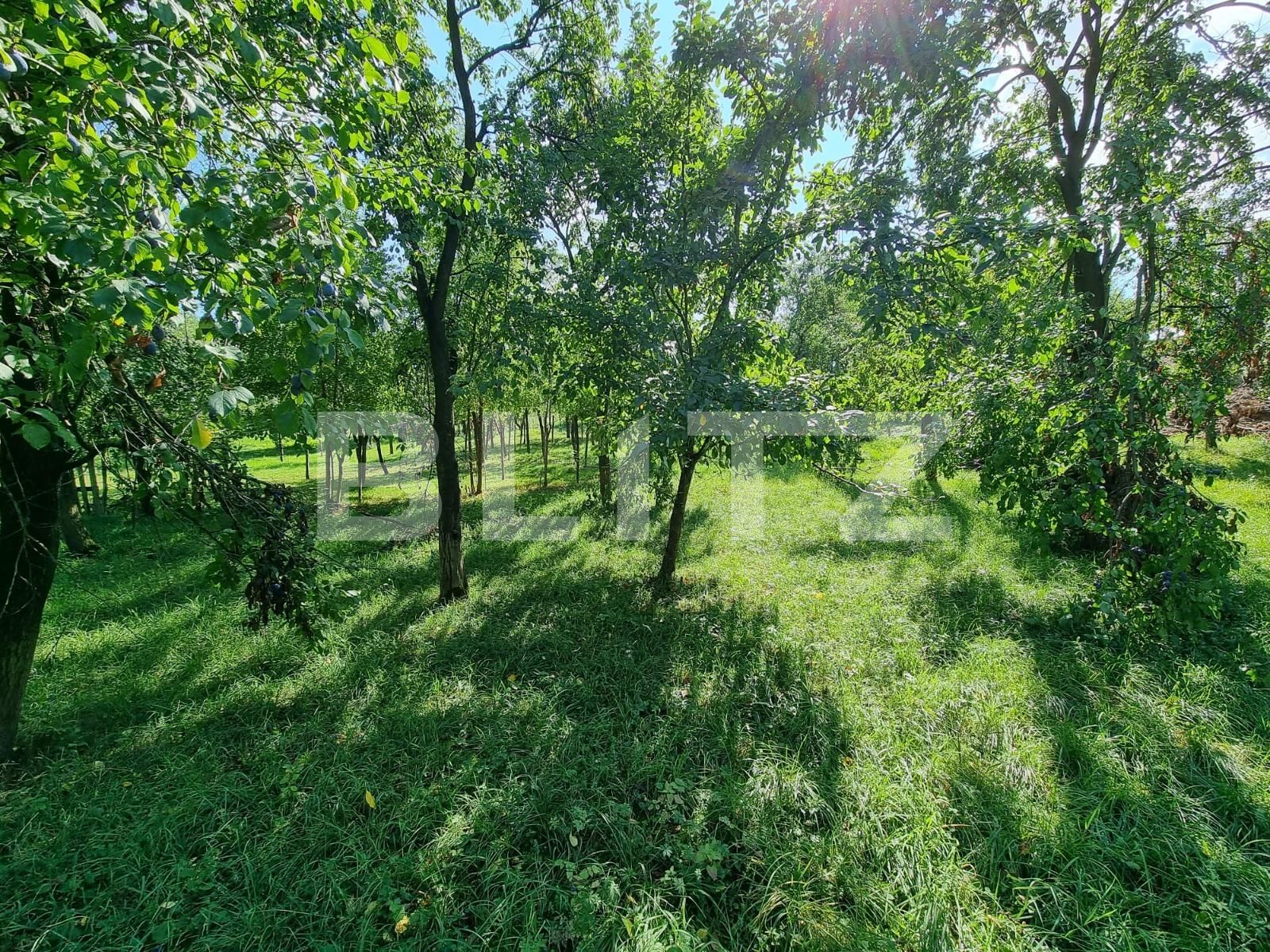 Teren de vânzare Sud - 105761TV | BLITZ Alba Iulia | Poza7