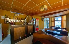 Spatiu comercial, 181 mp, Ampoi 2