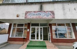 Spatiu comercial, 181 mp, Ampoi 2