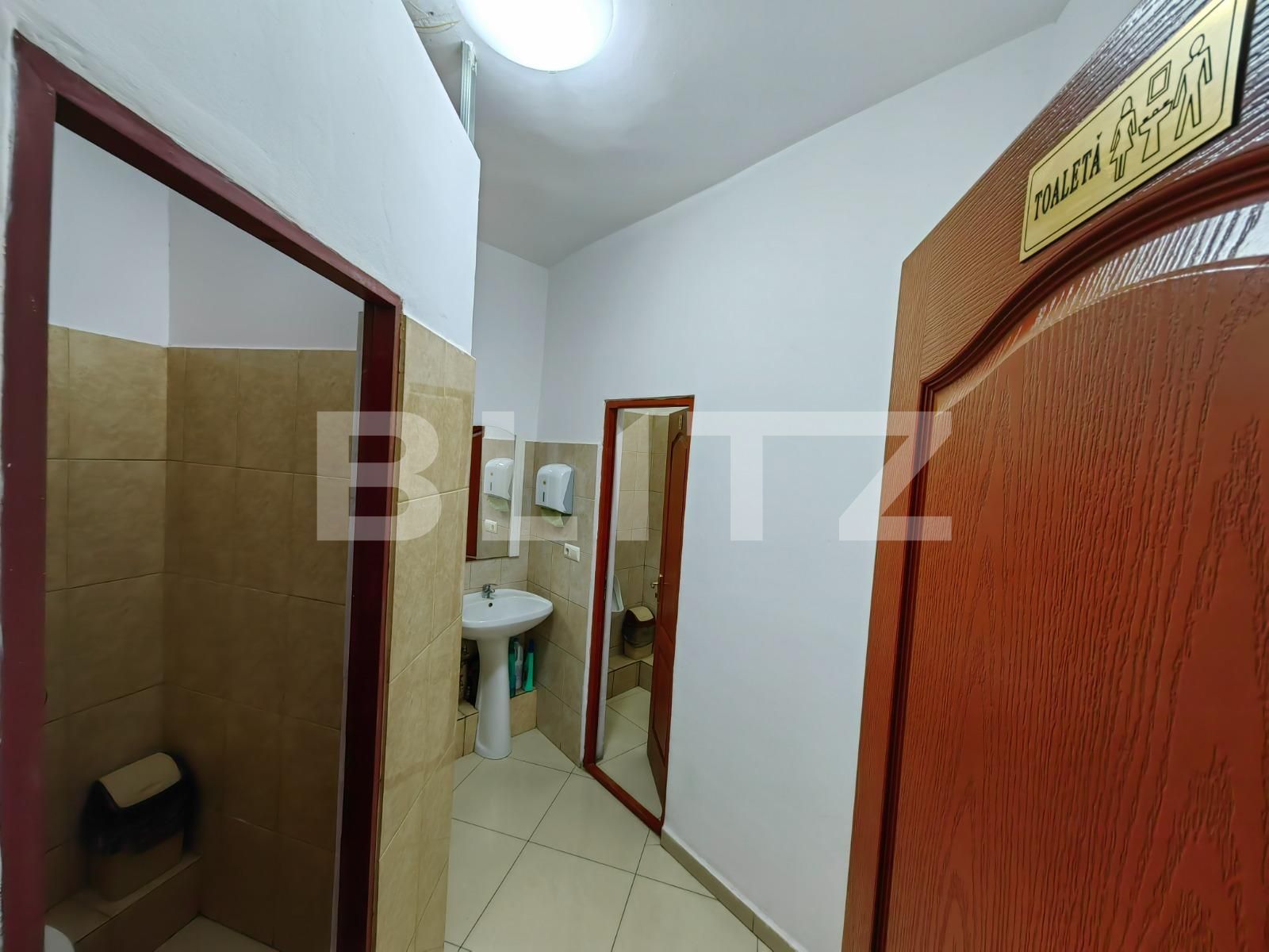 Spațiu comercial de vânzare Ampoi 2 - 105905SVC | BLITZ Alba Iulia | Poza8