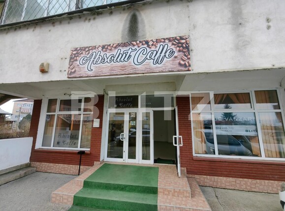 Spațiu comercial de închiriat Ampoi 2 - 105951SIC | BLITZ Alba Iulia | Poza1
