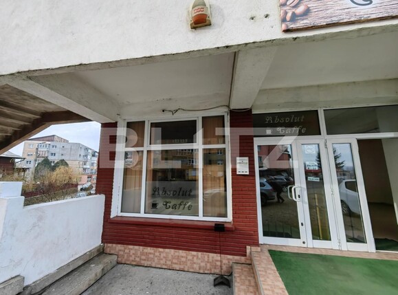 Spațiu comercial de închiriat Ampoi 2 - 105951SIC | BLITZ Alba Iulia | Poza2
