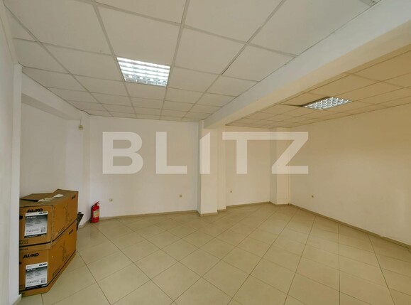 Spațiu comercial de închiriat Ampoi 2 - 105951SIC | BLITZ Alba Iulia | Poza8