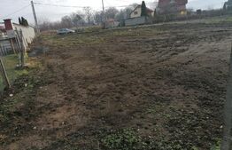 Teren intravilan 940 mp intre Alba si Micesti