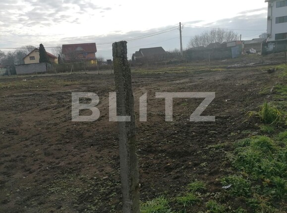 Teren de vânzare Micești - 106331TV | BLITZ Alba Iulia | Poza3