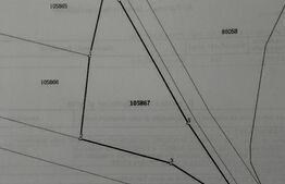Teren intravilan, 454 mp, zona stadion Micesti