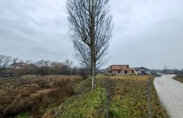 Teren intravilan, 454 mp, zona stadion Micesti