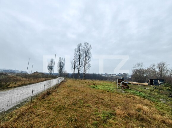 Teren de vânzare Micești - 106373TV | BLITZ Alba Iulia | Poza1