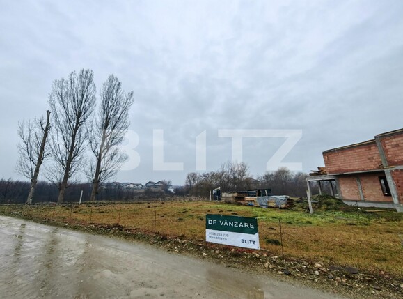Teren de vânzare Micești - 106373TV | BLITZ Alba Iulia | Poza8