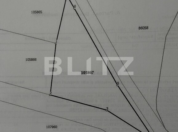 Teren de vânzare Micești - 106373TV | BLITZ Alba Iulia | Poza5