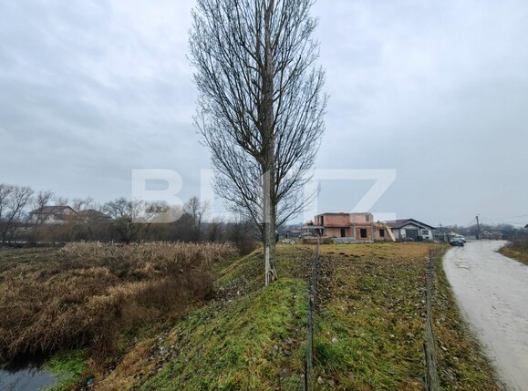 Teren de vânzare Micești - 106373TV | BLITZ Alba Iulia | Poza3