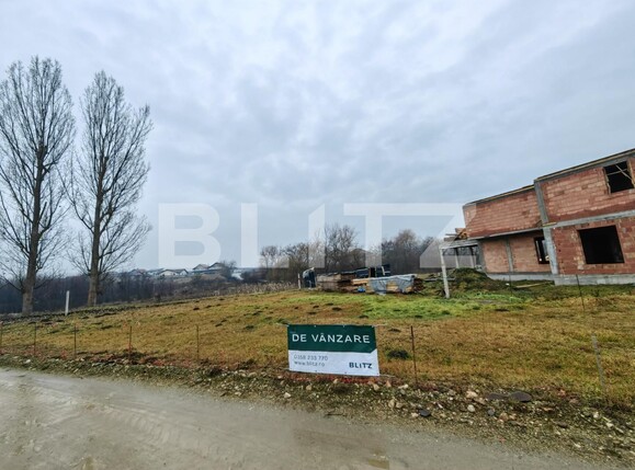 Teren de vânzare Micești - 106373TV | BLITZ Alba Iulia | Poza2
