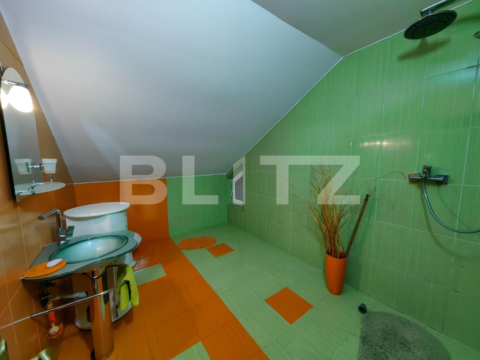 Casa de vânzare 6 camere Micești - 106392CV | BLITZ Alba Iulia | Poza15