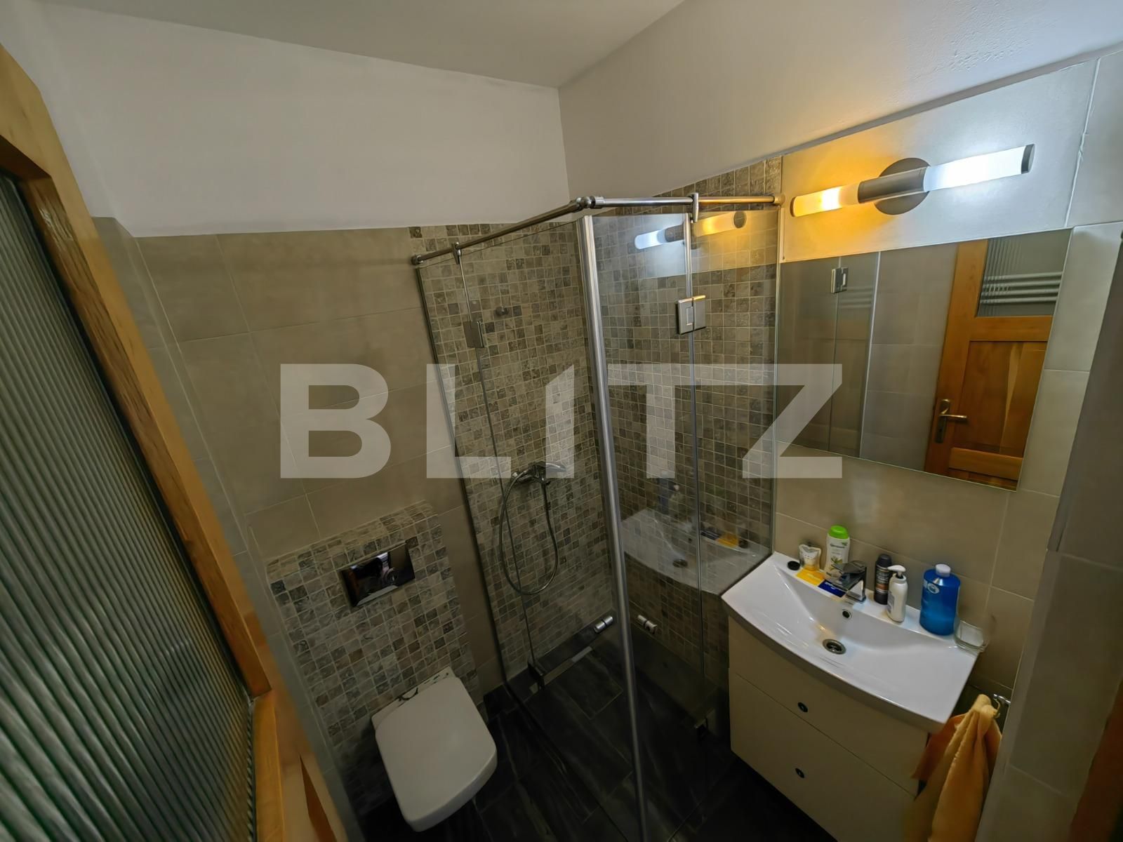 Spațiu comercial de vânzare Sud Est - 106498SVC | BLITZ Alba Iulia | Poza13