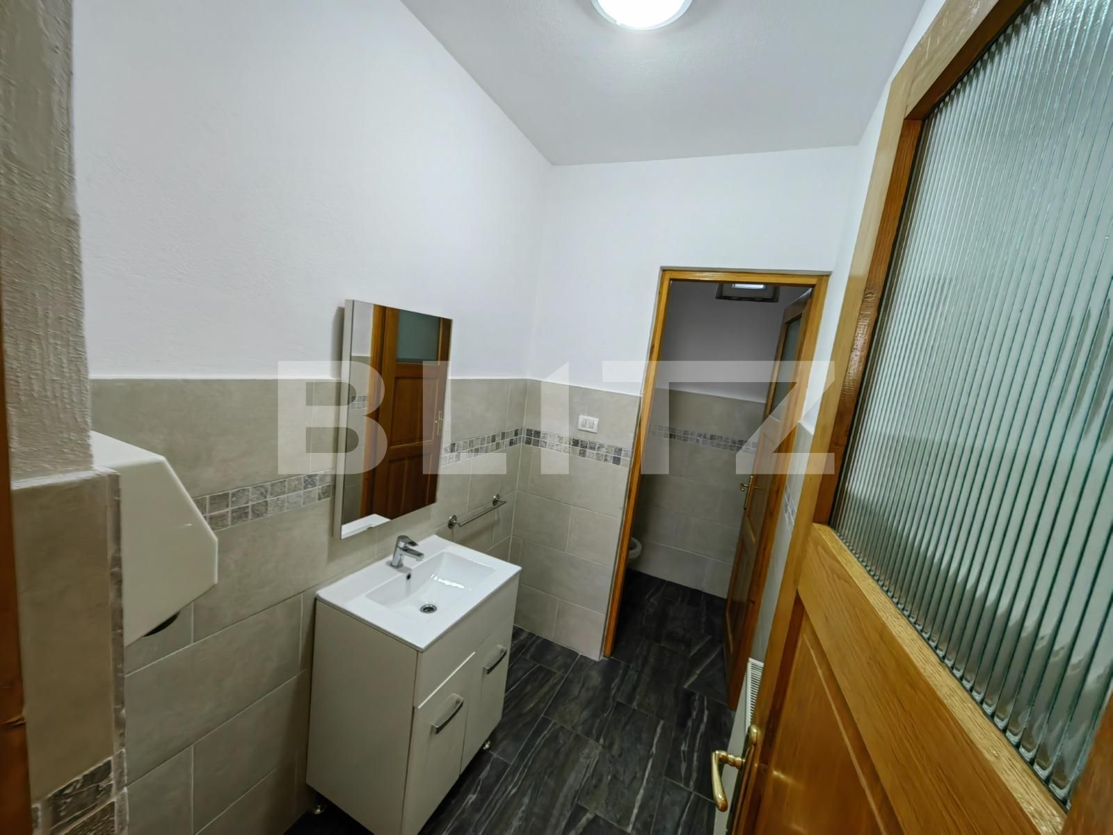 Spațiu comercial de vânzare Sud Est - 106498SVC | BLITZ Alba Iulia | Poza11