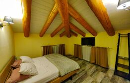 Casă deosebită, 4 camere, 760 mp teren, zona Ciugud - Alba