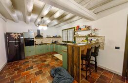 Casă deosebită, 4 camere, 760 mp teren, zona Ciugud - Alba