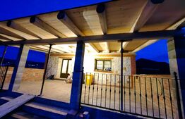 Casă deosebită, 4 camere, 760 mp teren, zona Ciugud - Alba