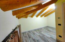 Casă deosebită, 4 camere, 760 mp teren, zona Ciugud - Alba