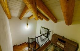 Casă deosebită, 4 camere, 760 mp teren, zona Ciugud - Alba