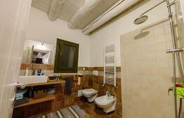 Casă deosebită, 4 camere, 760 mp teren, zona Ciugud - Alba