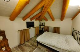 Casă deosebită, 4 camere, 760 mp teren, zona Ciugud - Alba