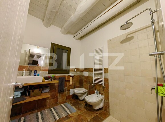 Casa de vânzare 4 camere Ciugud - 106566CV | BLITZ Alba Iulia | Poza17