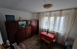 Apartament 2 camere, semidecomandat, 48mp, Cetate