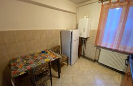 Apartament 2 camere 50 mp - Zona Centru