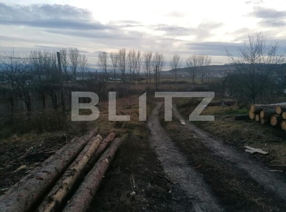 Teren de vânzare Vest - 106785TV | BLITZ Alba Iulia | Poza2