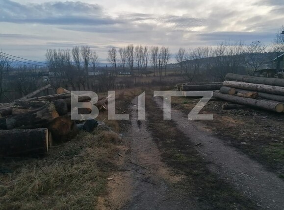 Teren de vânzare Vest - 106785TV | BLITZ Alba Iulia | Poza1