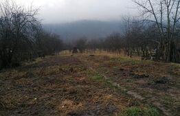 Casa renovata, 75mp utili pe un teren de 3650 mp, comuna Metes